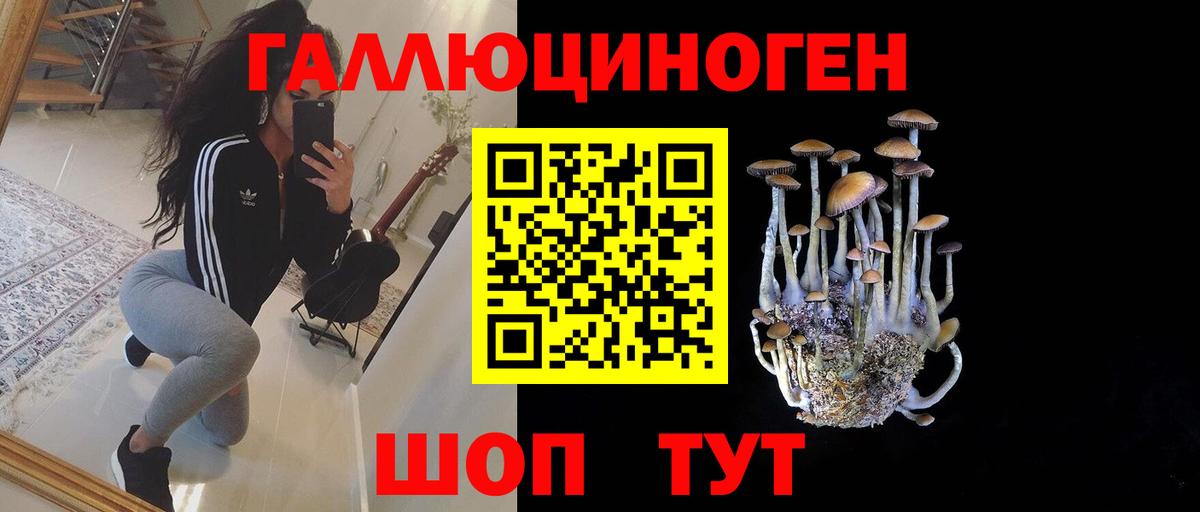 Галлюциногенные грибы GOLDEN TEACHER  Вход с VPN  Рассказово 